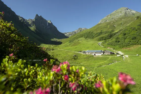 Alpe Nova, bewusstmontafon - Stefan Kothner