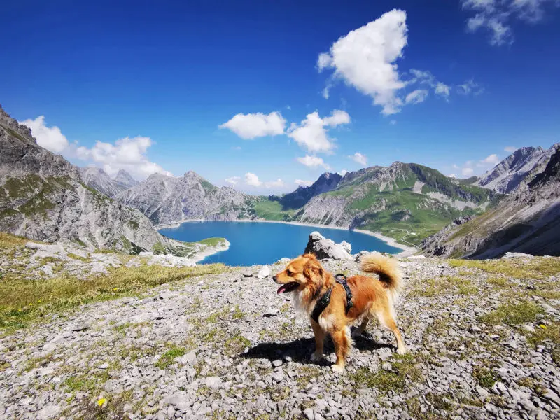 Totalphütte und Lünersee, Brand - Montafon