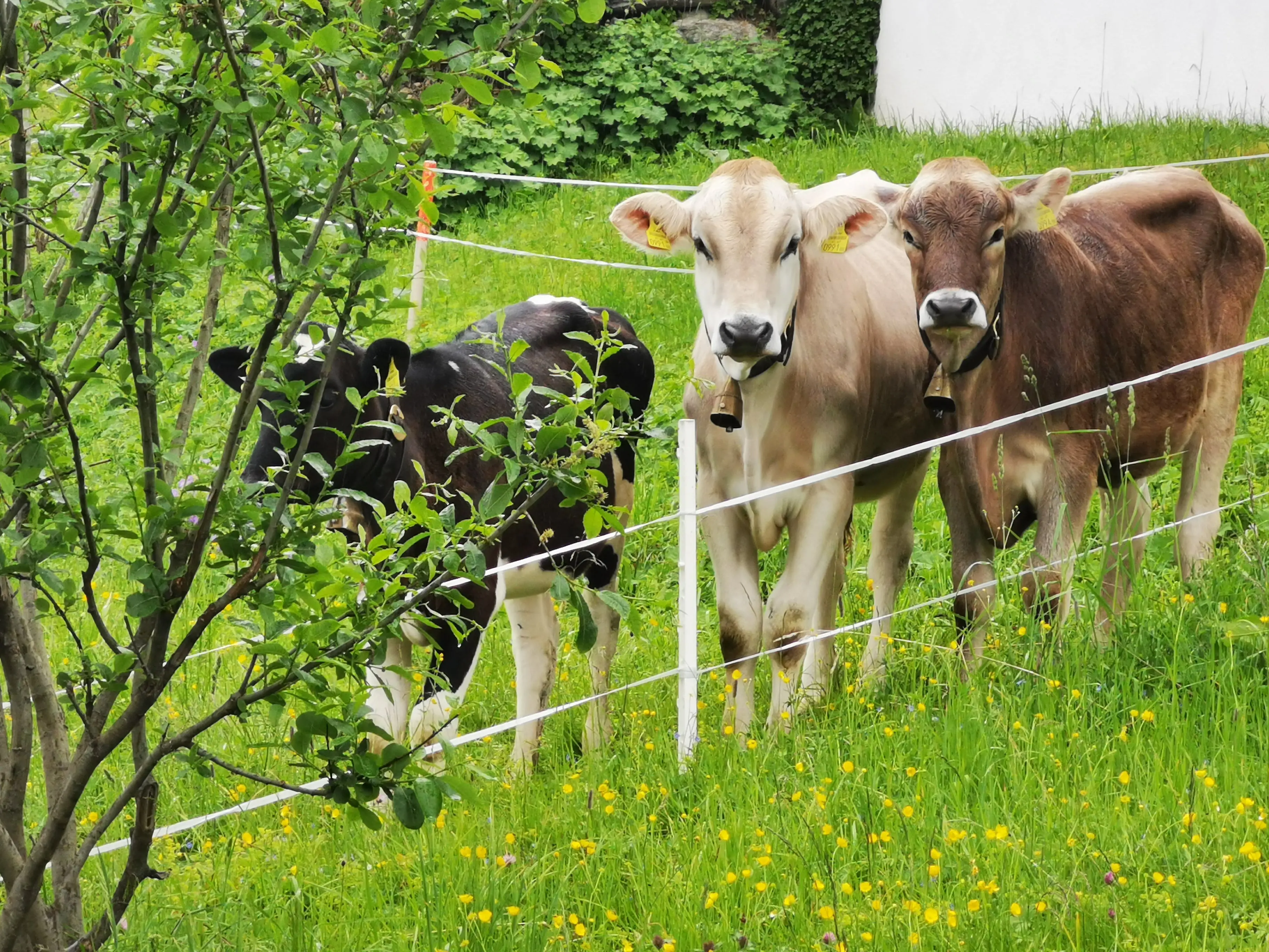 Casa Christine Garfrescha